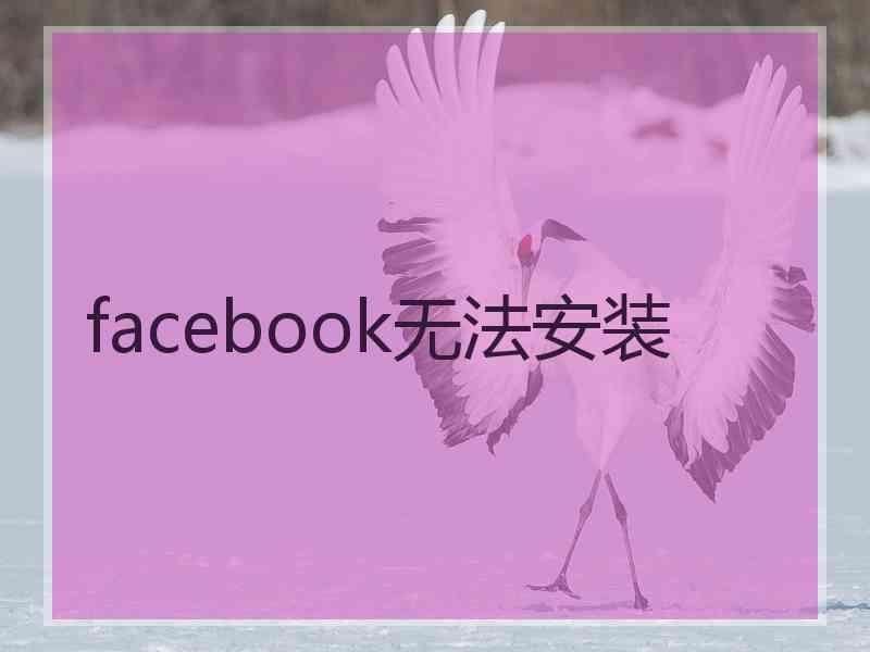 facebook无法安装