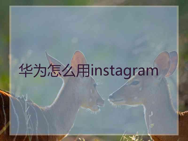 华为怎么用instagram