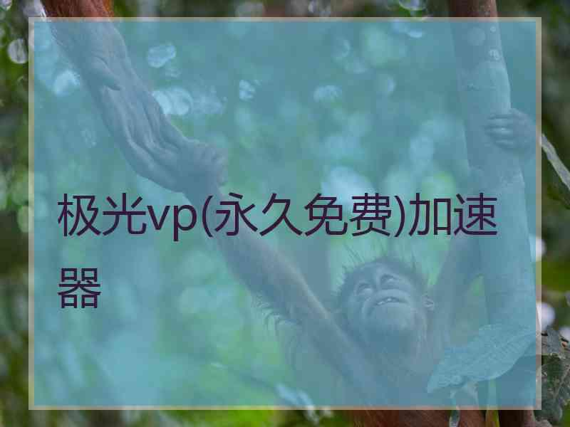 极光vp(永久免费)加速器