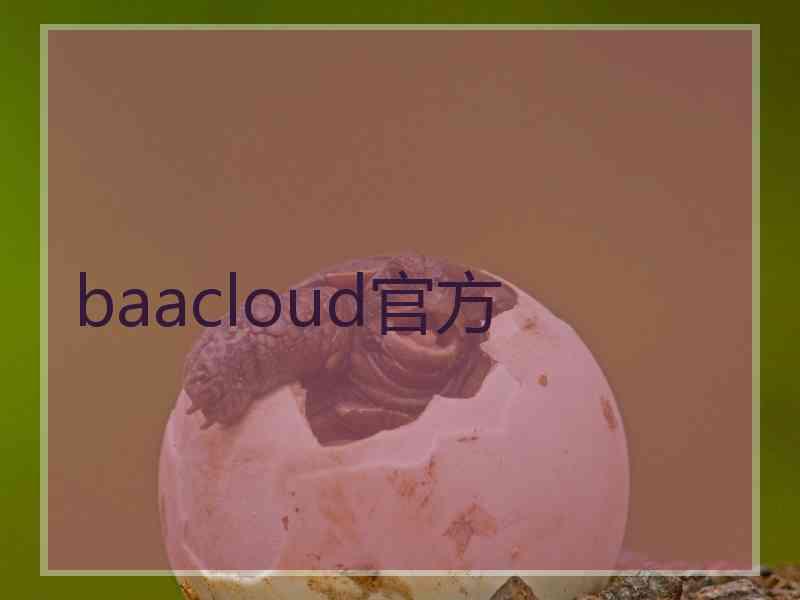 baacloud官方