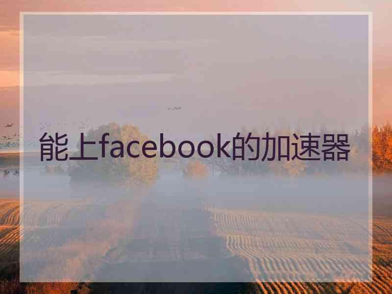 能上facebook的加速器