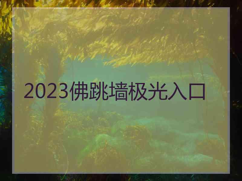 2023佛跳墙极光入口