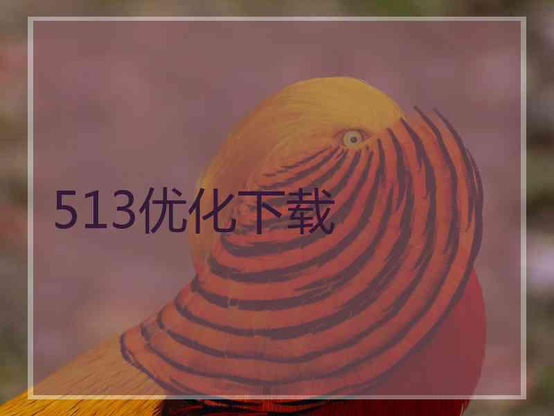 513优化下载