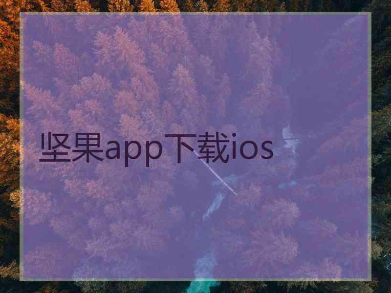 坚果app下载ios