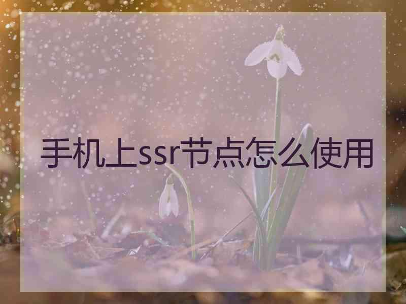 手机上ssr节点怎么使用