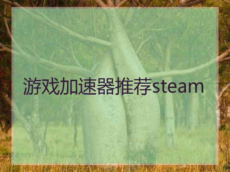 游戏加速器推荐steam