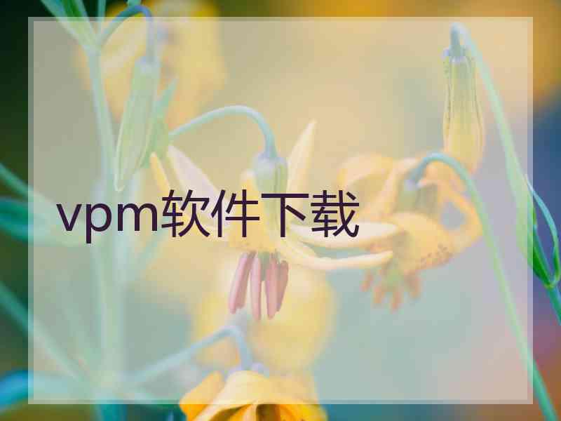 vpm软件下载