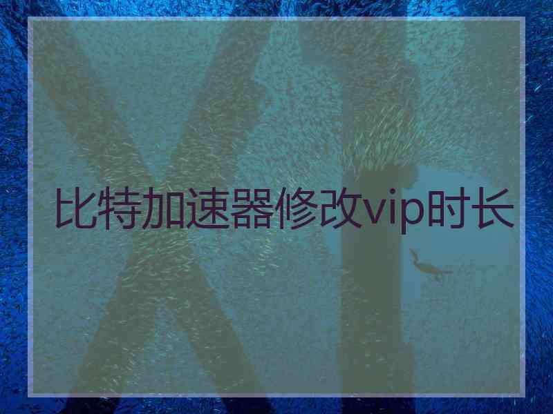 比特加速器修改vip时长