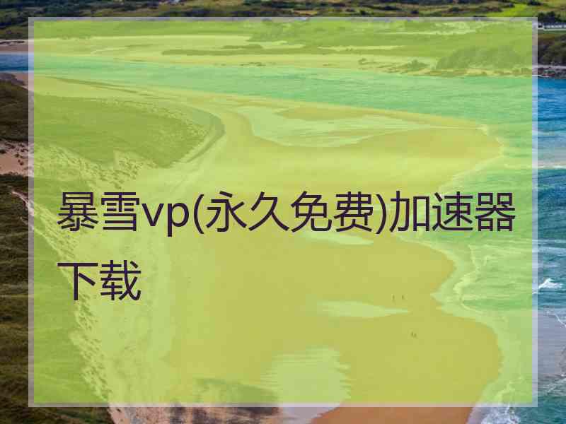 暴雪vp(永久免费)加速器下载