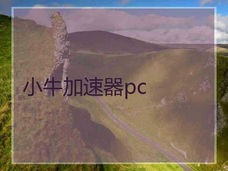 小牛加速器pc