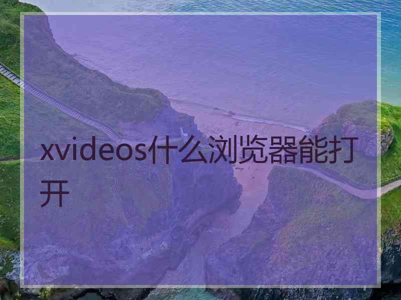 xvideos什么浏览器能打开