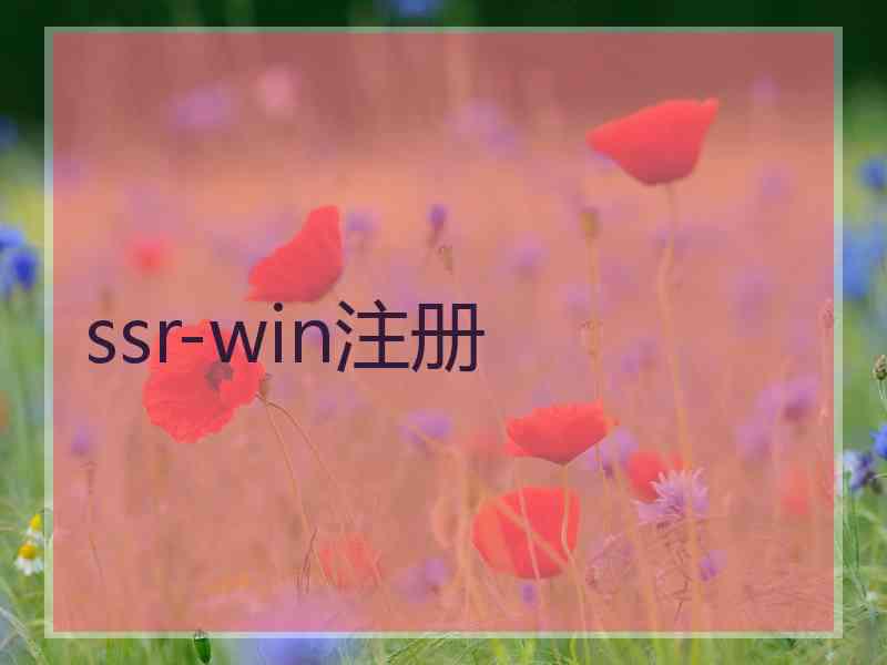ssr-win注册