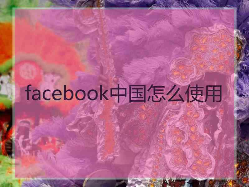 facebook中国怎么使用