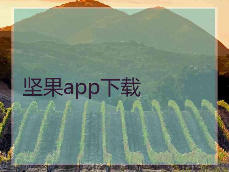 坚果app下载