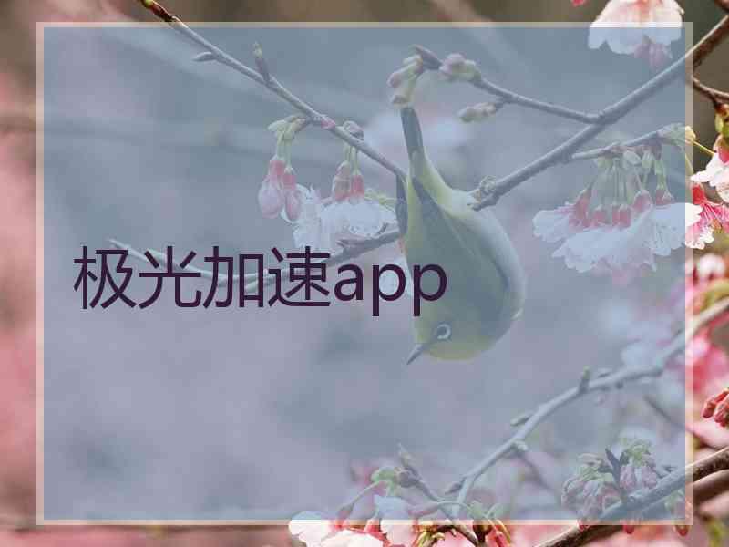 极光加速app