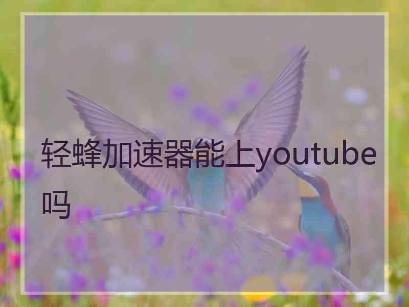 轻蜂加速器能上youtube吗