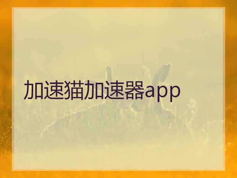 加速猫加速器app