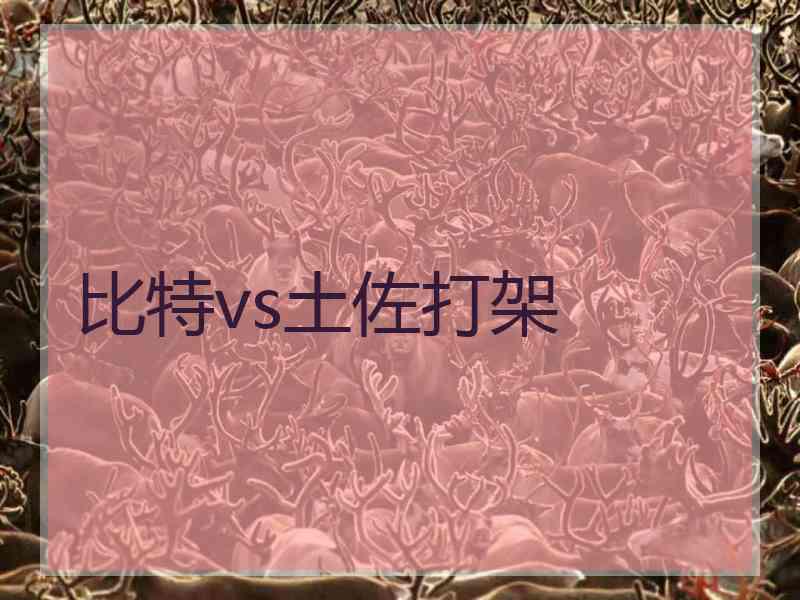 比特vs土佐打架 比特vs土佐打架