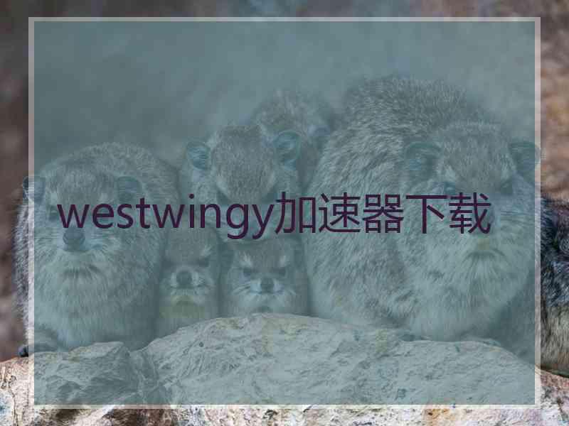 westwingy加速器下载