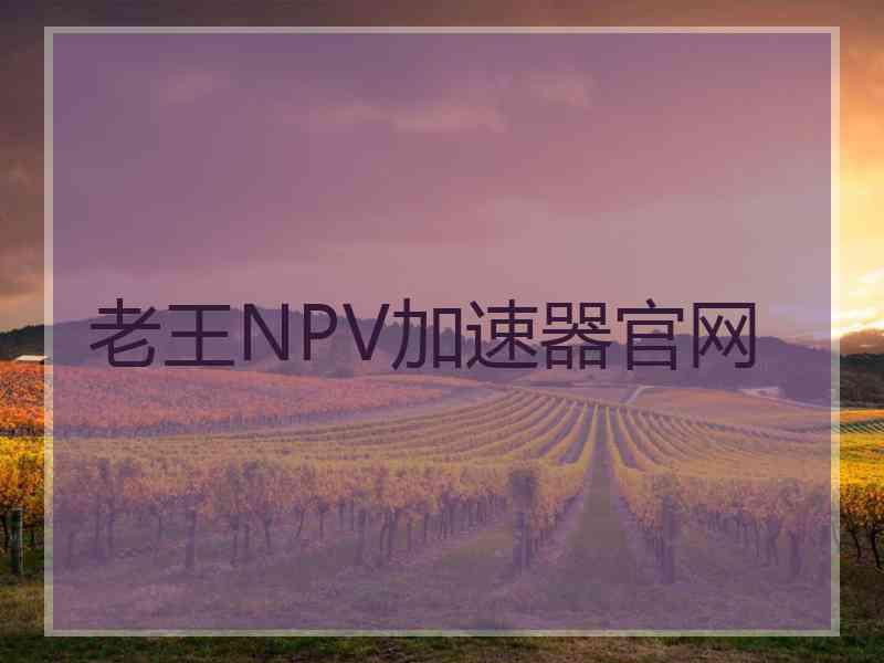 老王NPV加速器官网