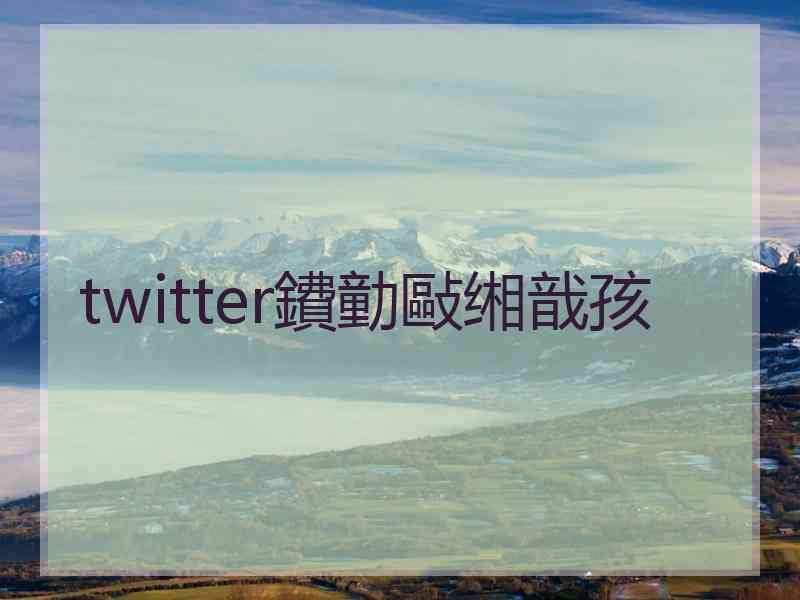twitter鐨勭敺缃戠孩
