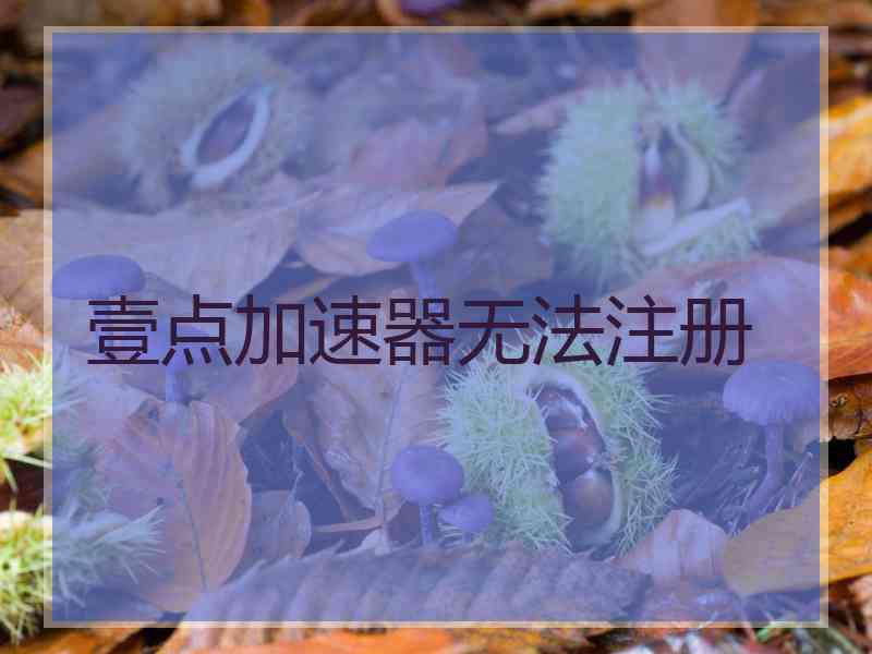 壹点加速器无法注册