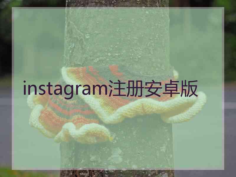 instagram注册安卓版