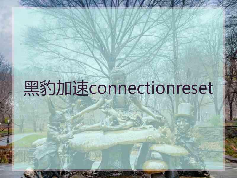 黑豹加速connectionreset