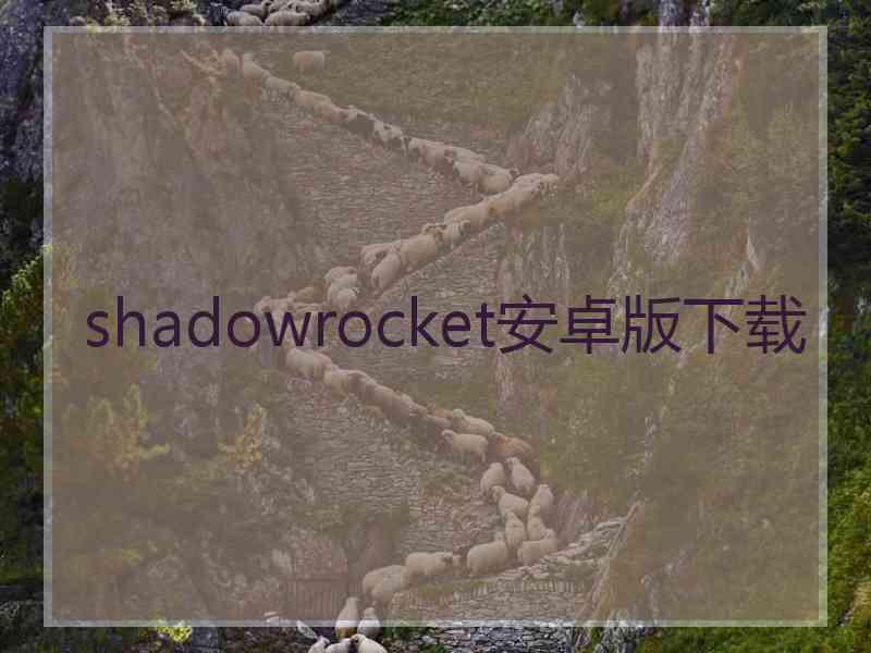 shadowrocket安卓版下载