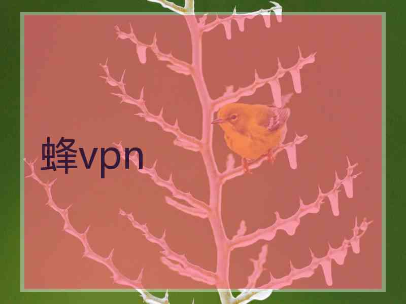 蜂vpn