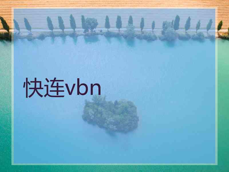 快连vbn