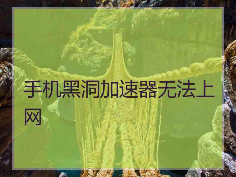 手机黑洞加速器无法上网