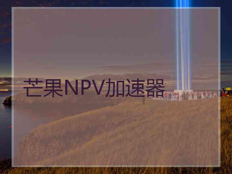 芒果NPV加速器