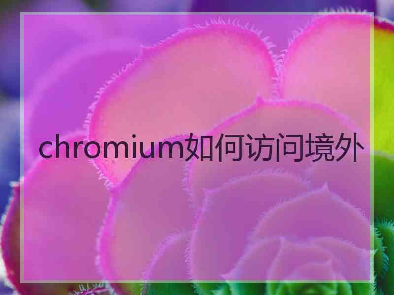 chromium如何访问境外