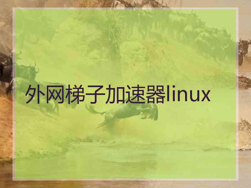 外网梯子加速器linux