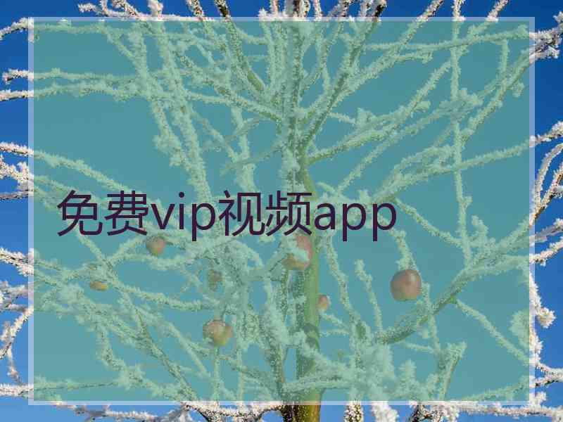 免费vip视频app