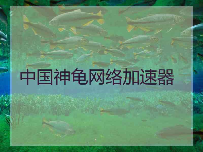 中国神龟网络加速器