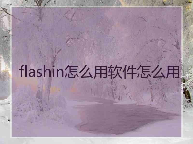 flashin怎么用软件怎么用