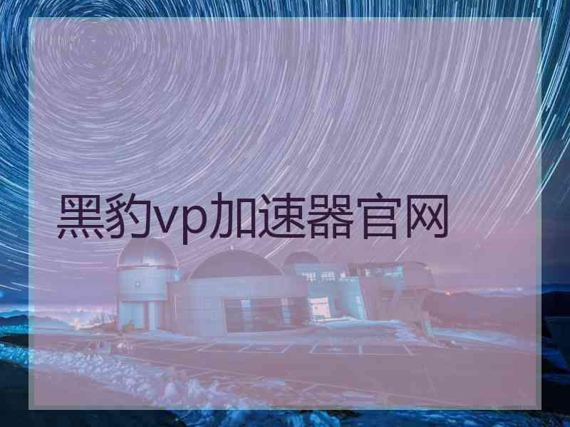 黑豹vp加速器官网