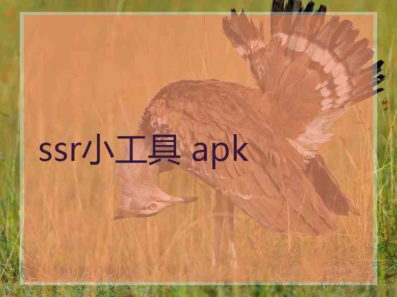 ssr小工具 apk