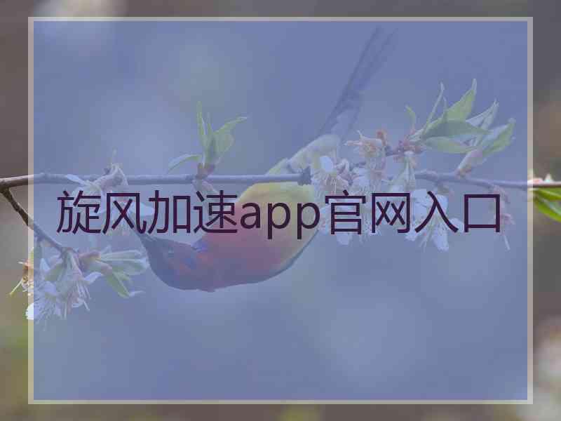 旋风加速app官网入口