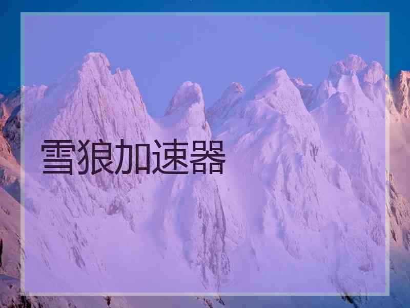 雪狼加速器