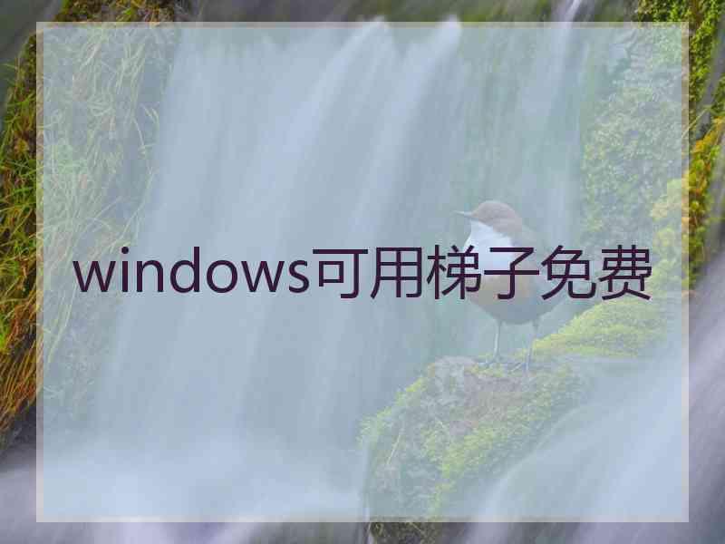 windows可用梯子免费