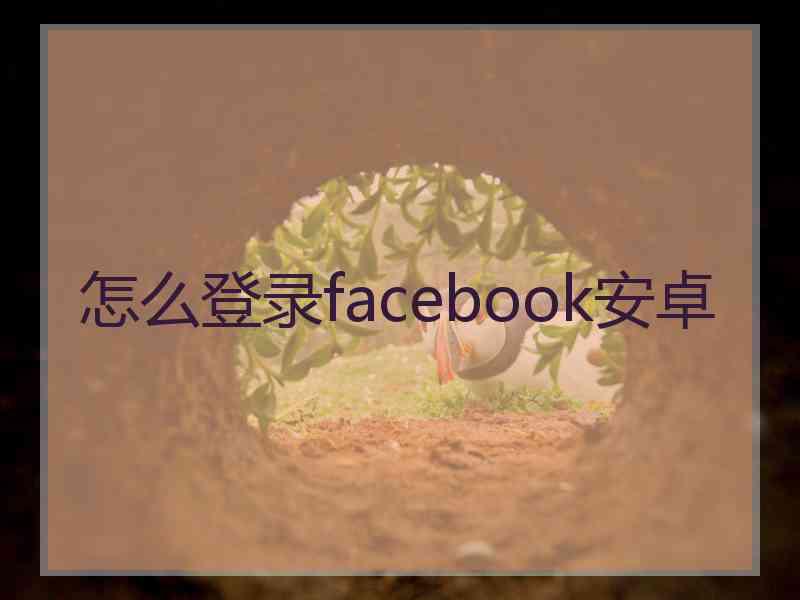 怎么登录facebook安卓