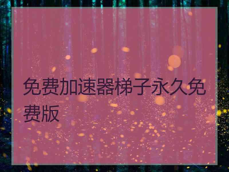 免费加速器梯子永久免费版