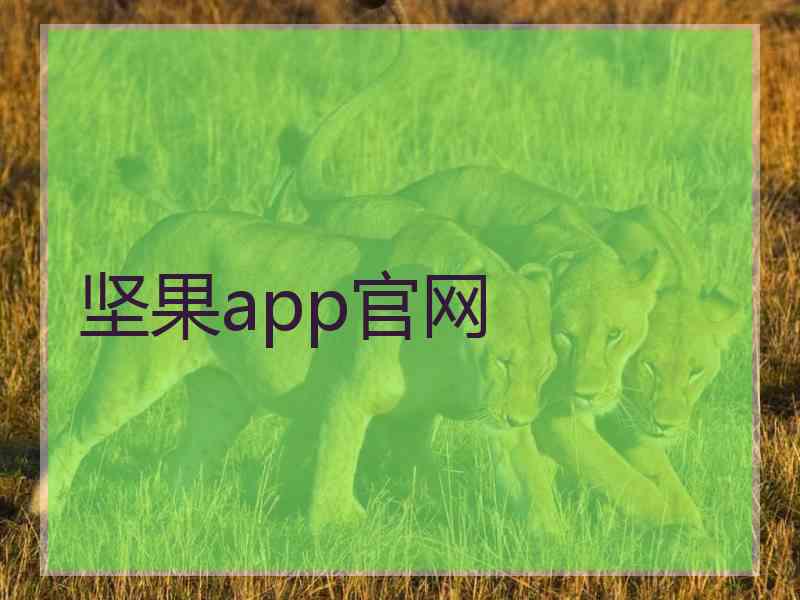 坚果app官网