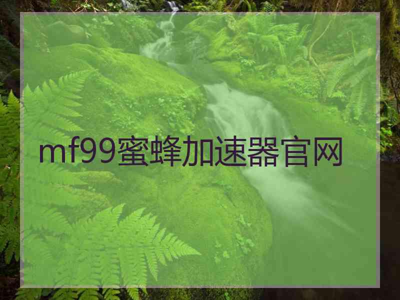 mf99蜜蜂加速器官网