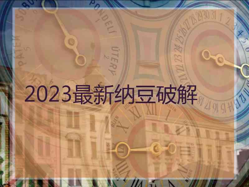 2023最新纳豆破解