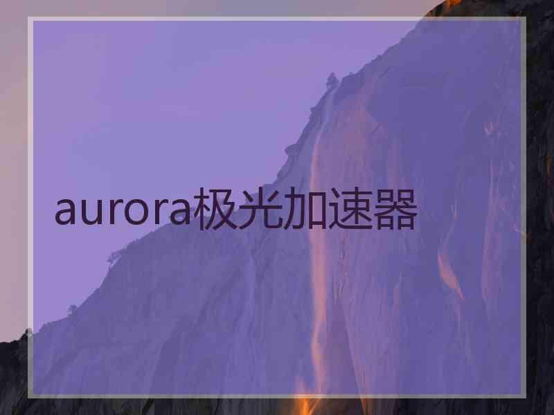 aurora极光加速器