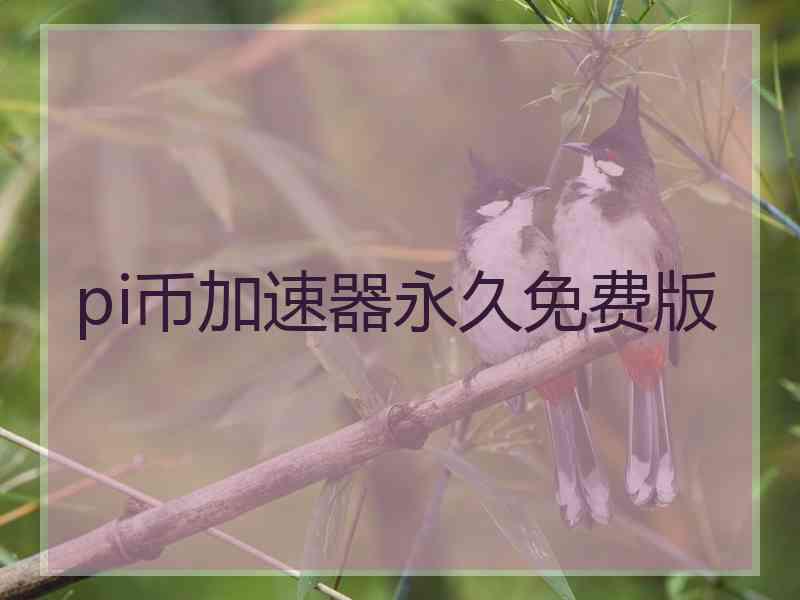 pi币加速器永久免费版